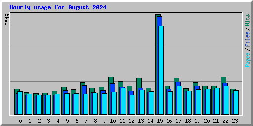 Hourly usage for August 2024