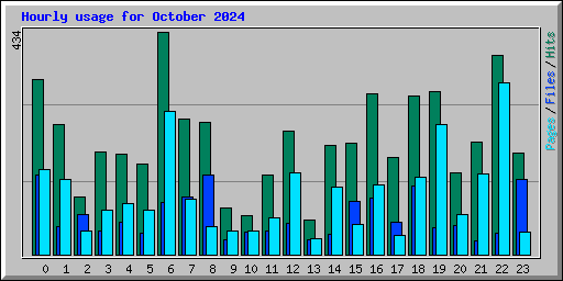 Hourly usage for October 2024