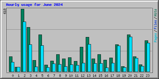 Hourly usage for June 2024